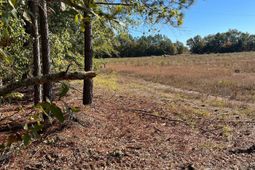 Bhl 7 Boise Cascade photo 4