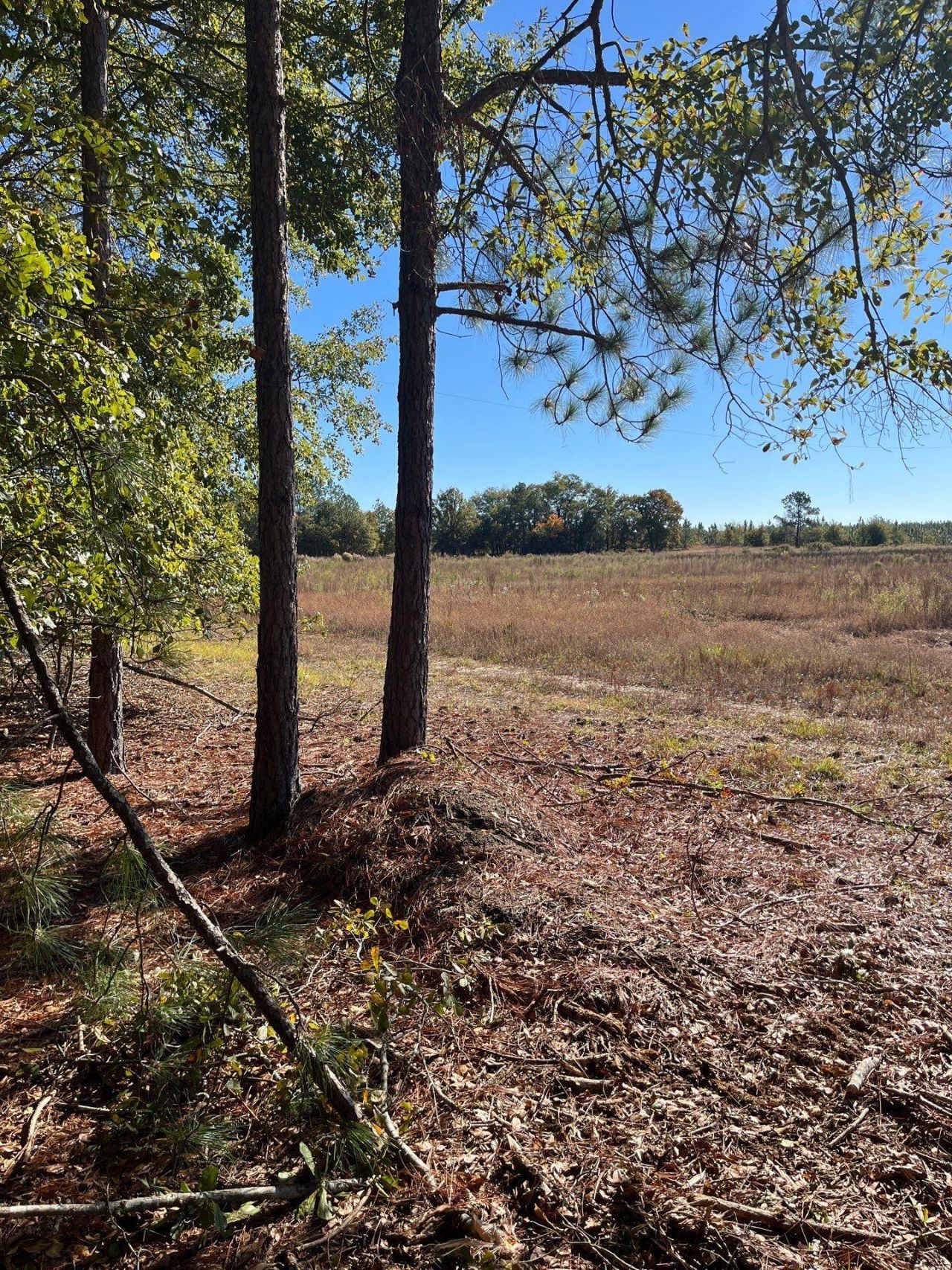 Bhl 7 Boise Cascade Photo 6