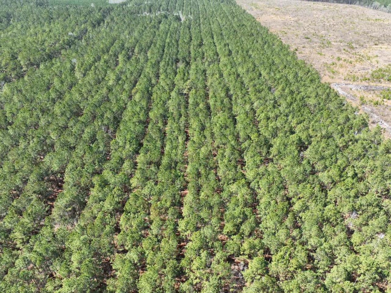 Tbd Rocky Ford Rd. Photo 10