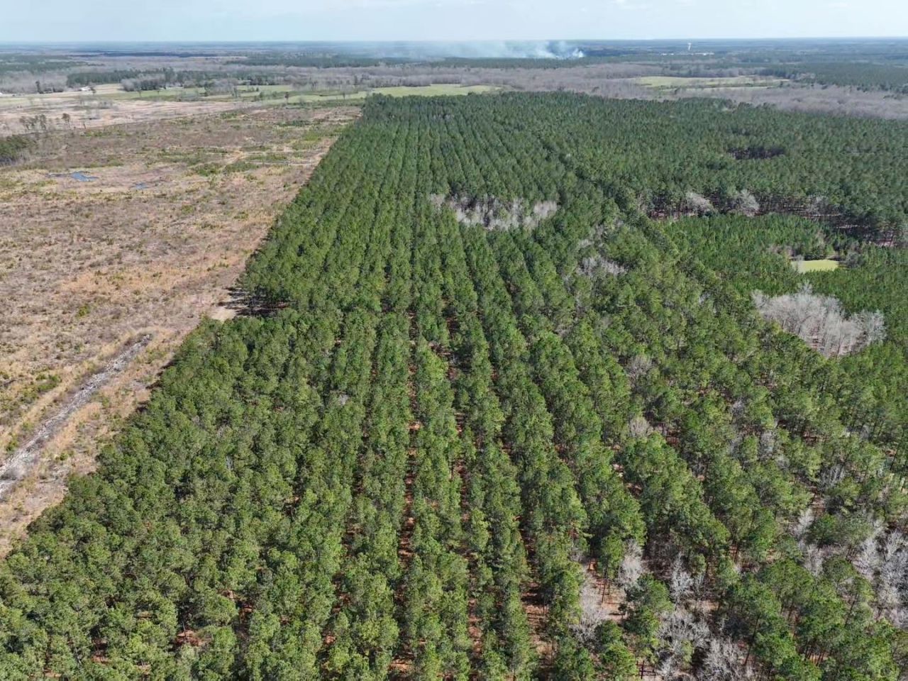 Tbd Rocky Ford Rd. Photo 11