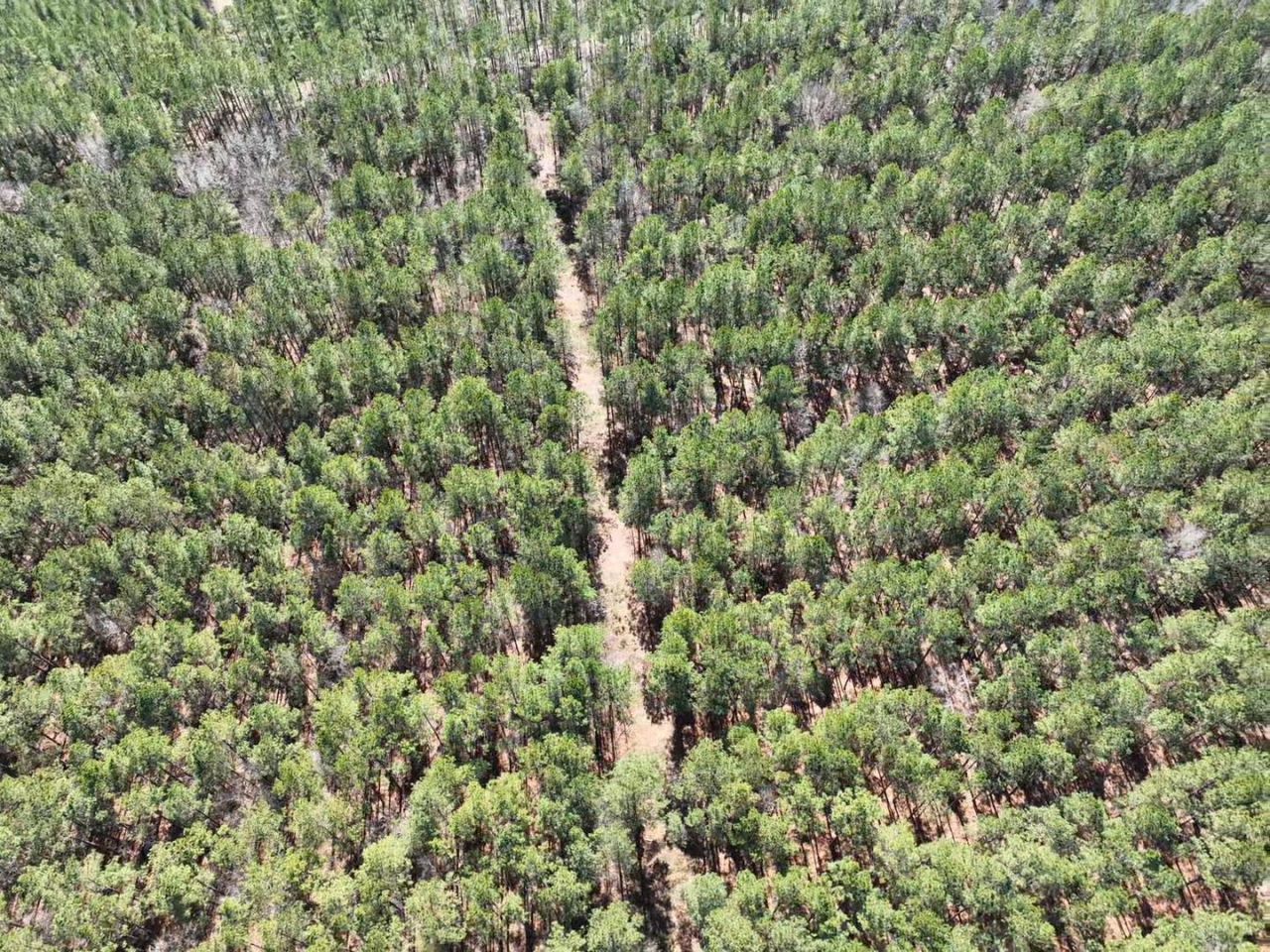 Tbd Rocky Ford Rd. Photo 12