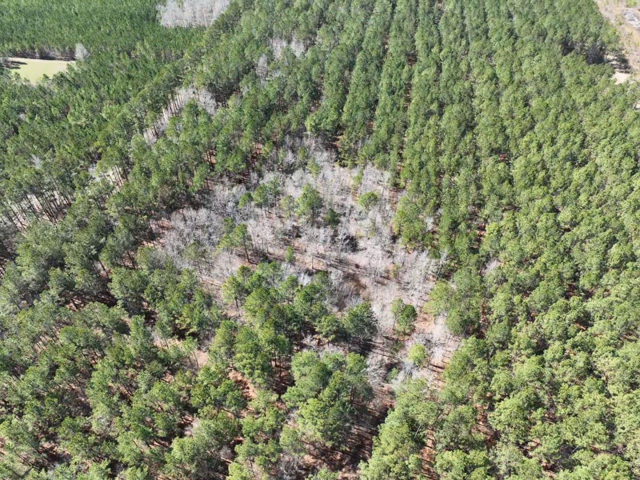 Tbd Rocky Ford Rd. Photo 13