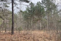 Tbd Rocky Ford Rd. photo 4