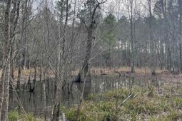 Tbd Rocky Ford Rd. photo 4