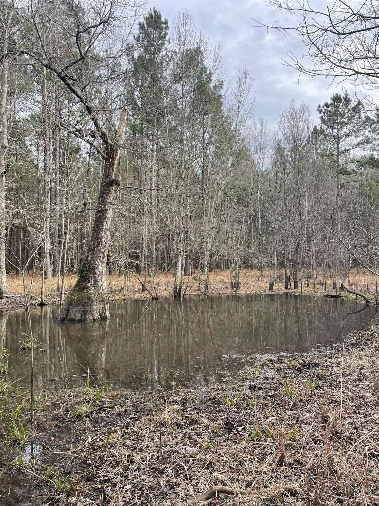 Tbd Rocky Ford Rd. Photo 4