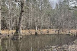 Tbd Rocky Ford Rd. photo 4