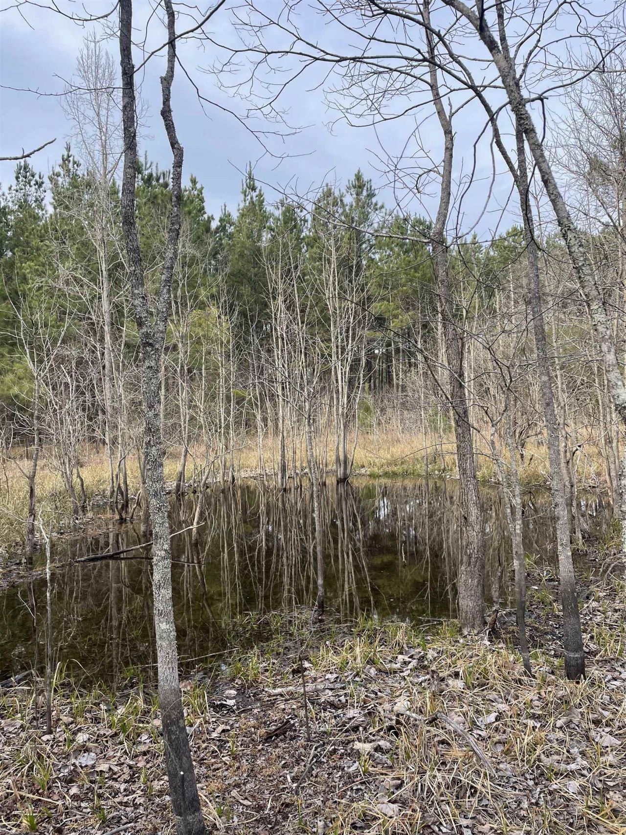 Tbd Rocky Ford Rd. Photo 5