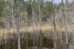 Tbd Rocky Ford Rd. photo 4