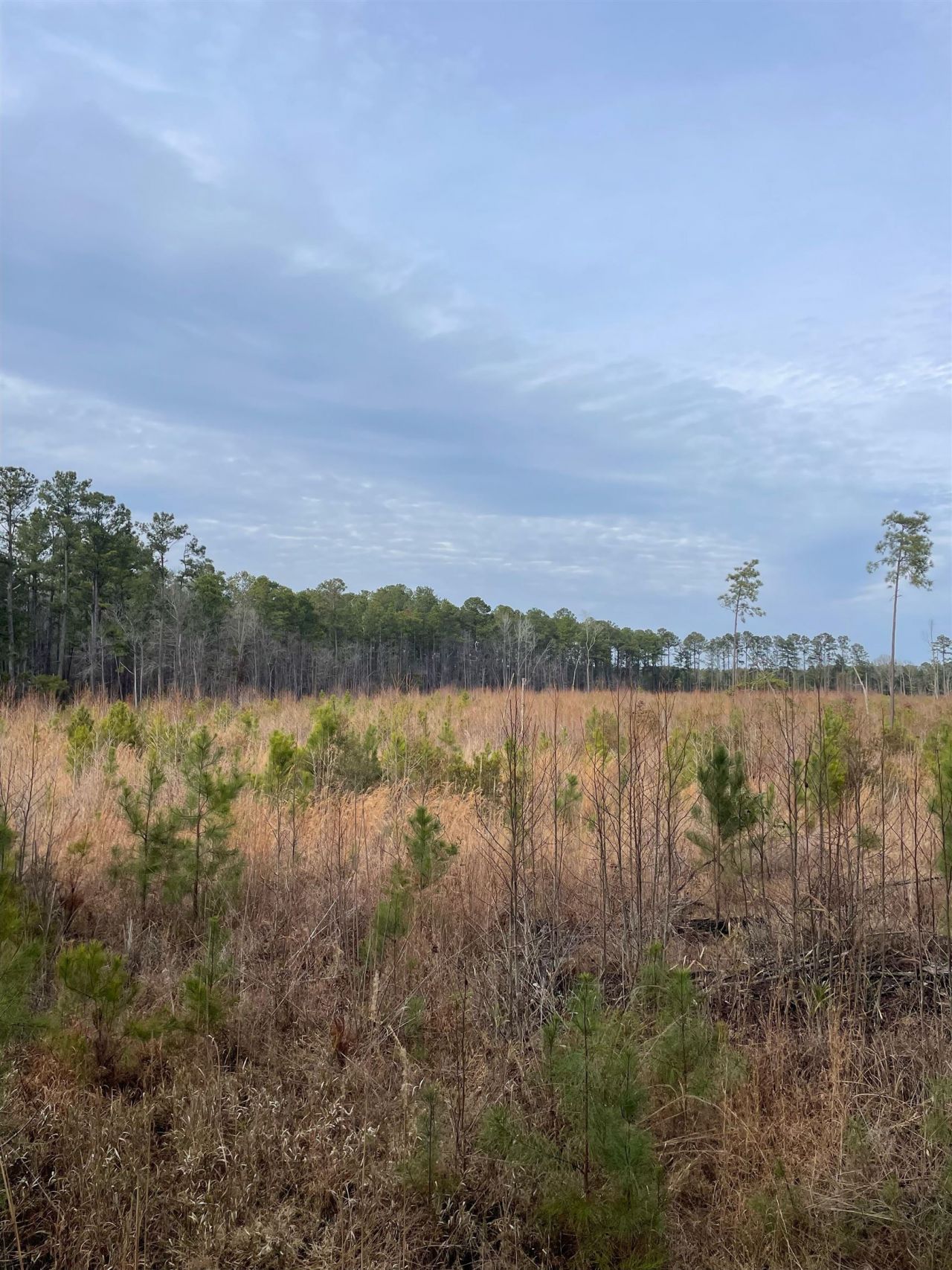 Tbd Rocky Ford Rd. Photo 6