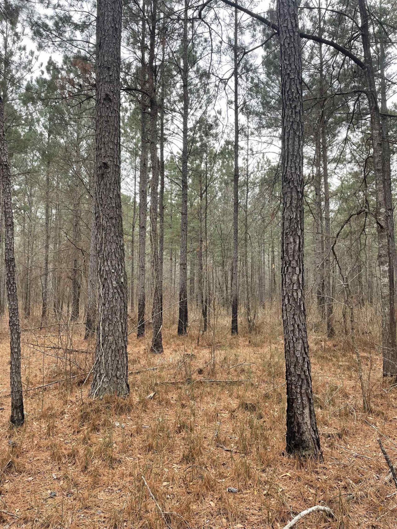 Tbd Rocky Ford Rd. Photo 7