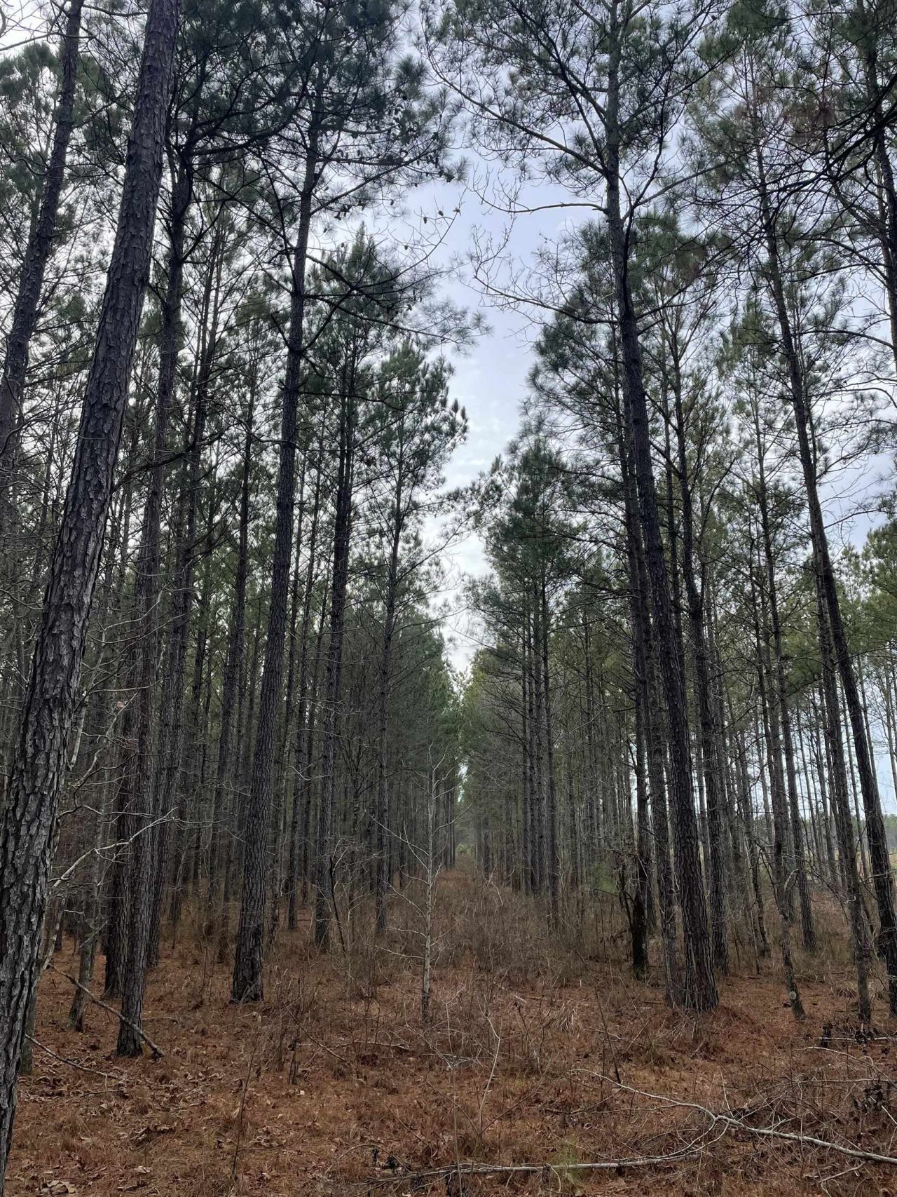 Tbd Rocky Ford Rd. Photo 8