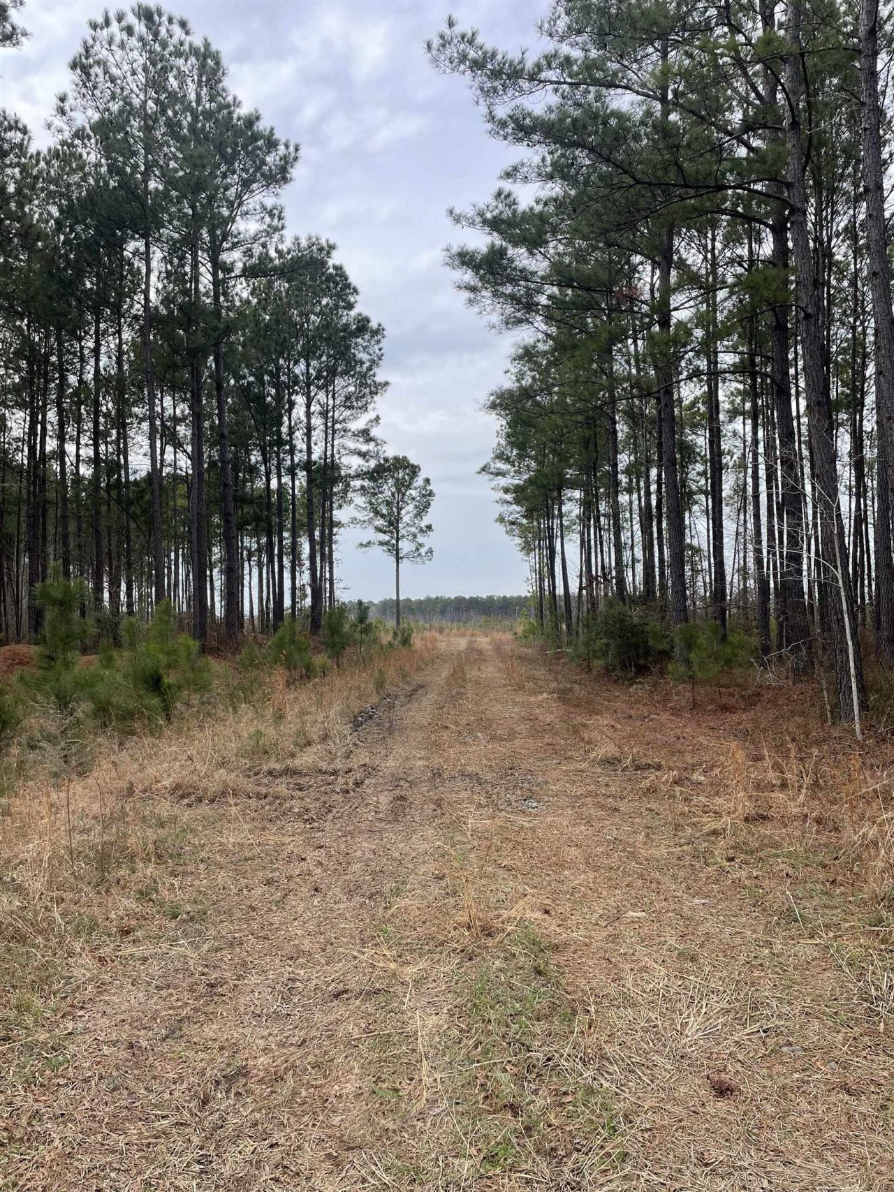 Tbd Rocky Ford Rd. Photo 9