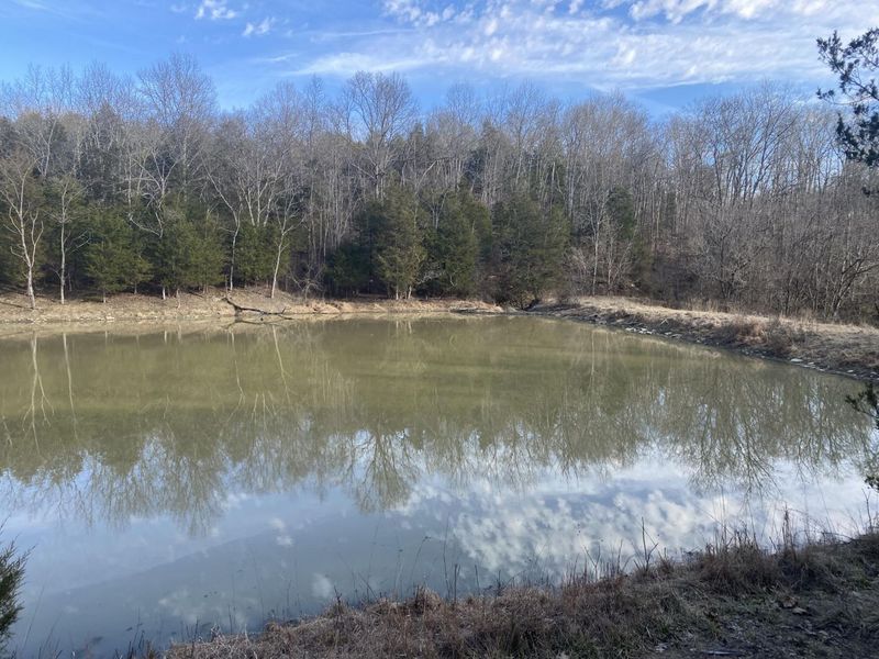 1550 Golds Valley Road, Dry Ridge, KY 41035 Photo 36