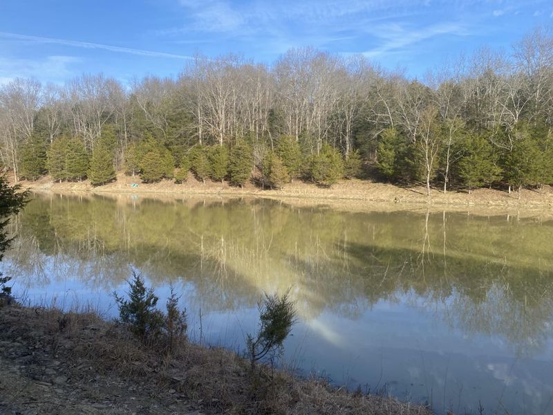 1550 Golds Valley Road, Dry Ridge, KY 41035 Photo 37