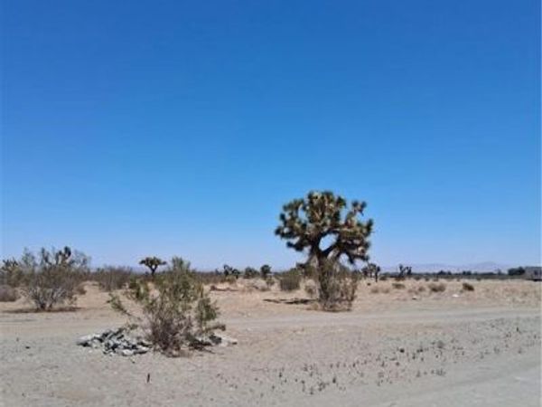 17 Danbury, Phelan, CA 92371