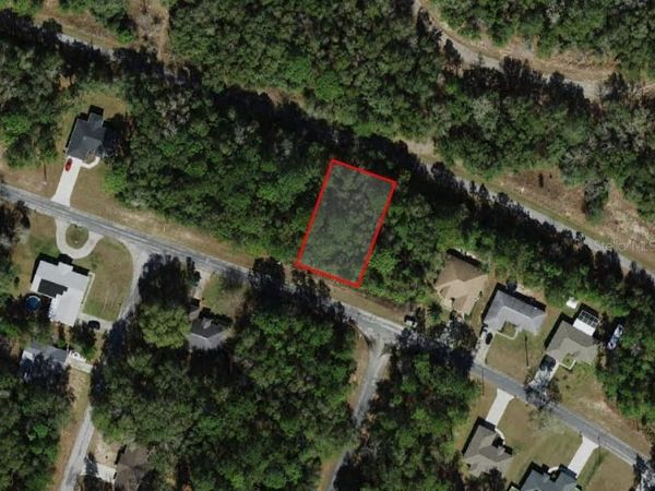 9875 N SANDREE DRIVE , CITRUS SPRINGS, FL 34434