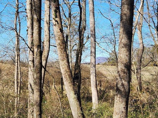 5500 Brookton Lula Road, Gainesville, GA 30506