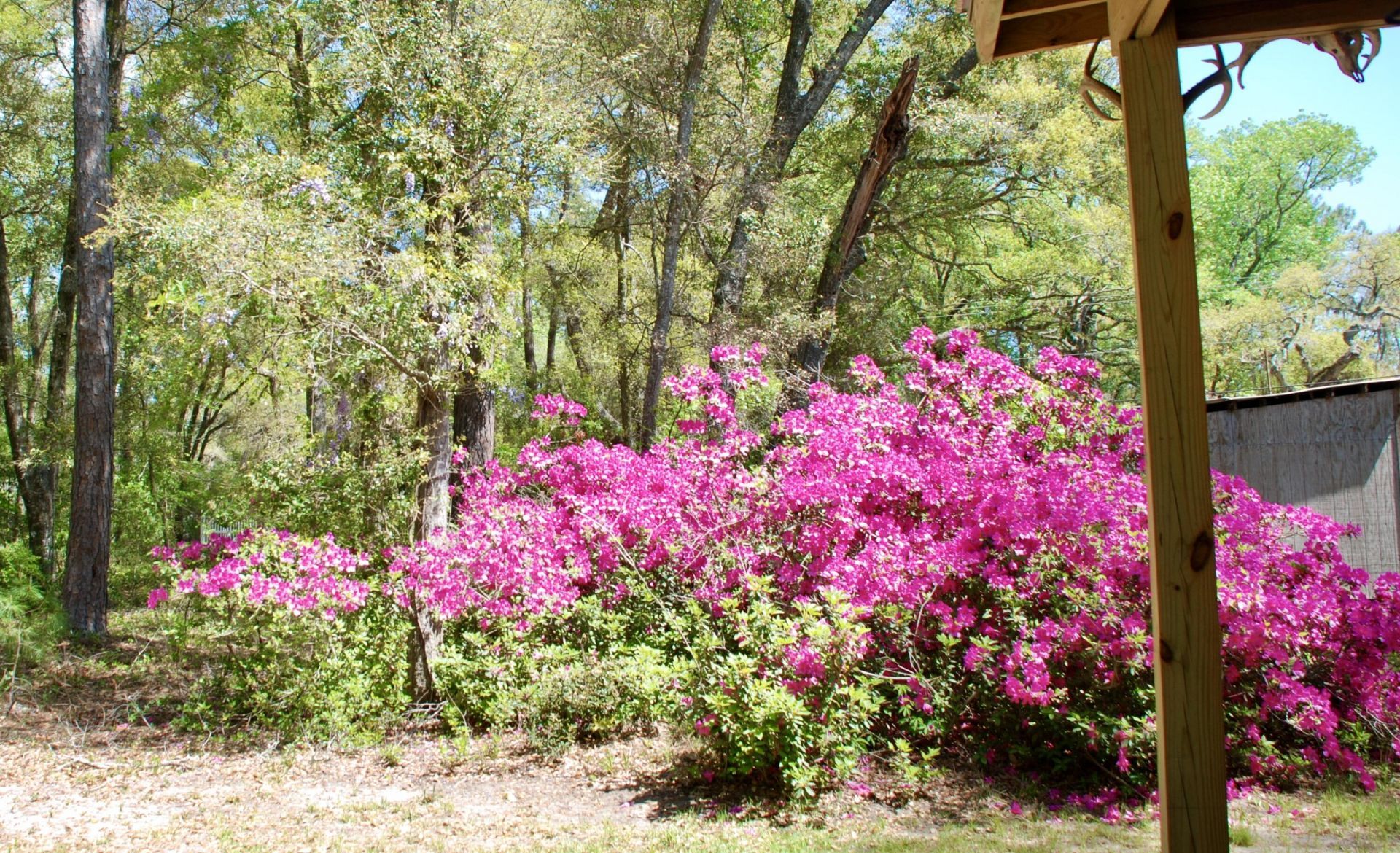 2484 Marina Road Photo 11