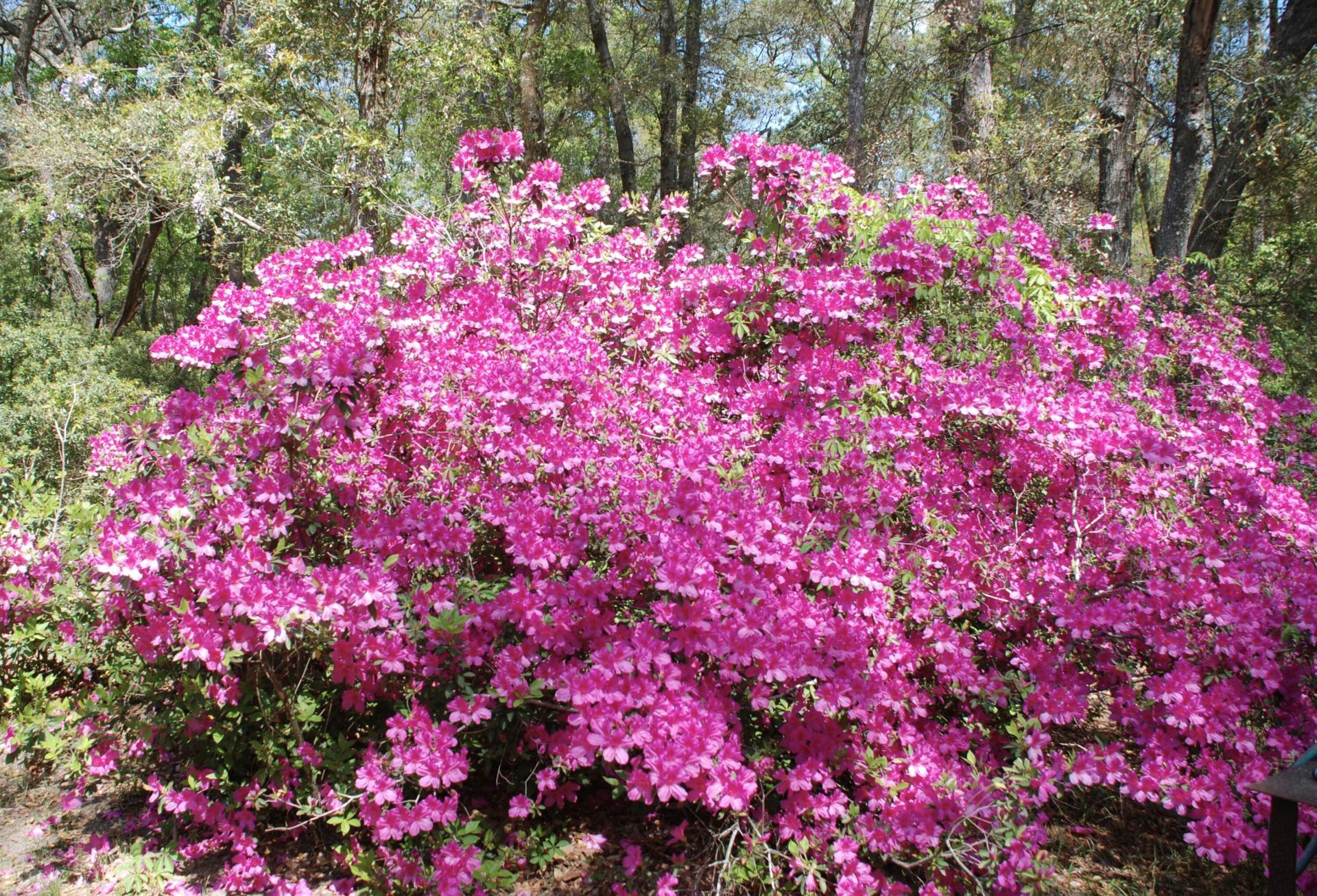 2484 Marina Road Photo 12