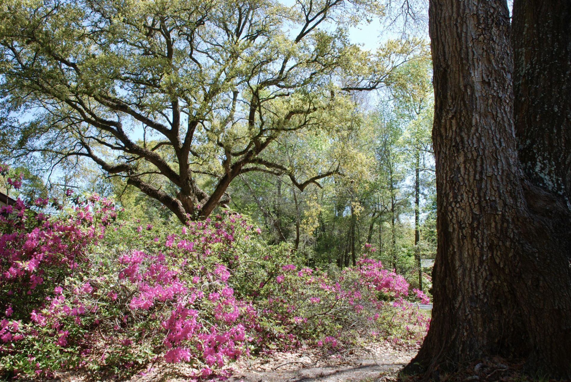 2484 Marina Road Photo 13