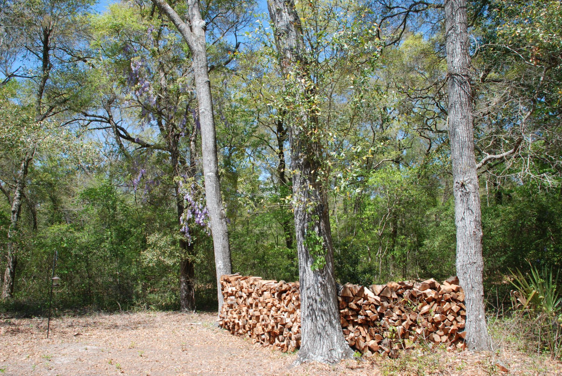 2484 Marina Road Photo 14