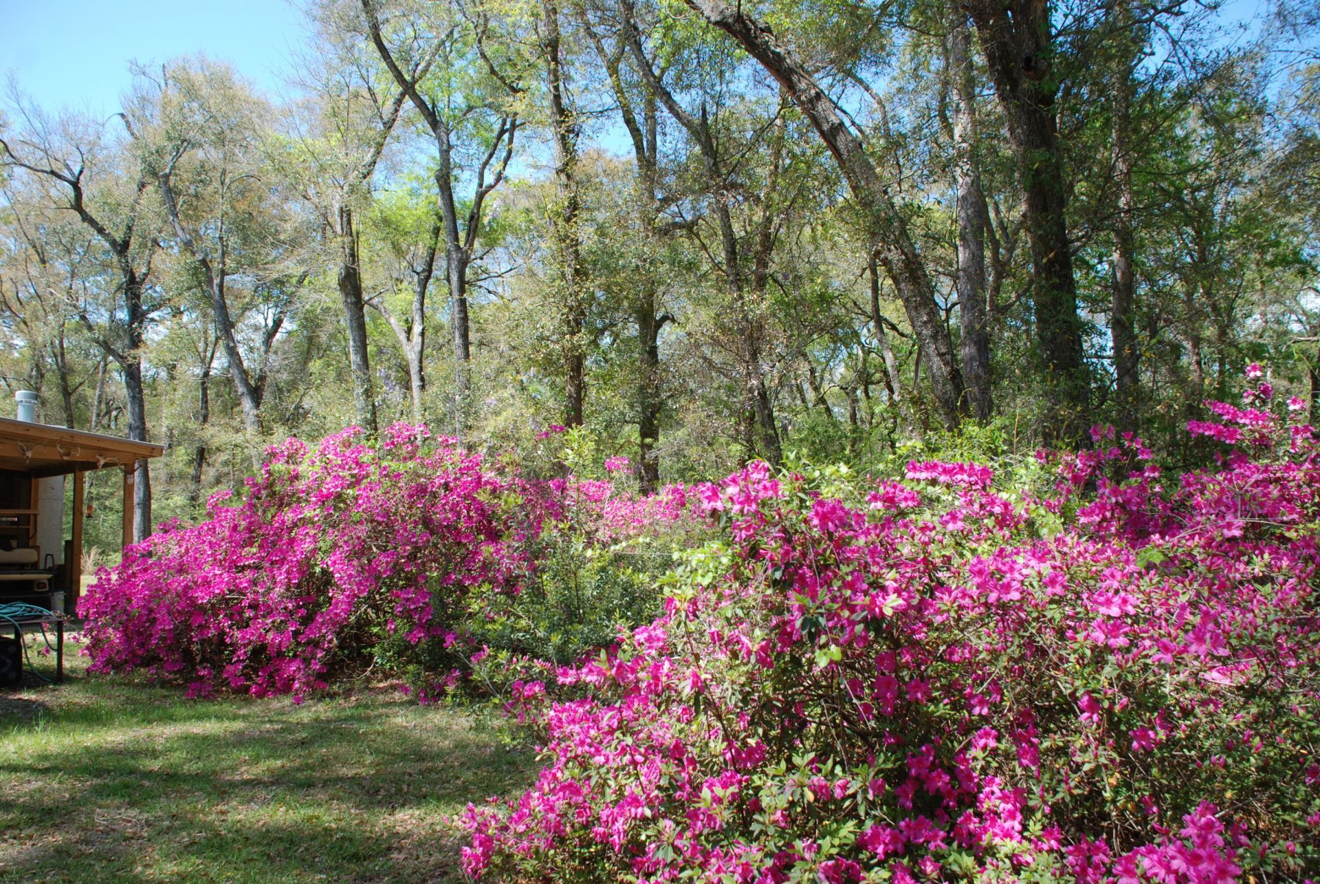 2484 Marina Road Photo 9