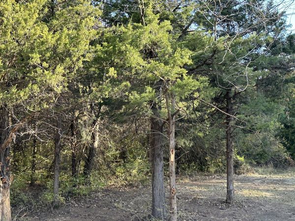 Tract 1A Audrain Road 935 , Mexico, MO 65265