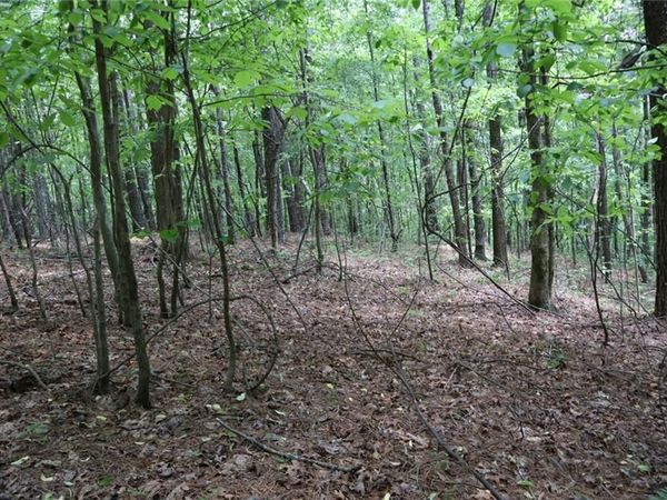 0 Parksbrook Road A , Ellijay, GA 30540