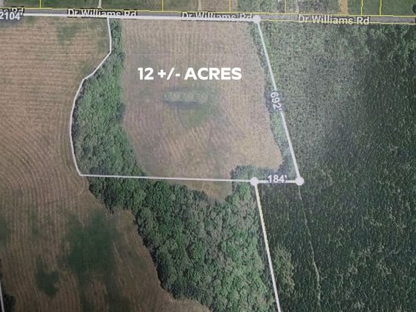 0 DR WILLIAMS DR , Michie, TN 38357