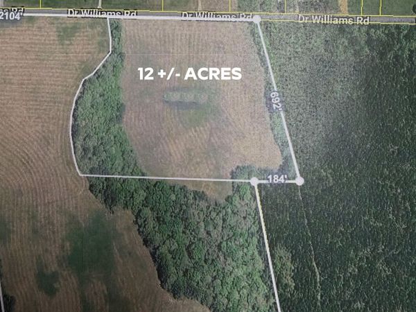 0 DR WILLIAMS DR, Michie, TN 38357