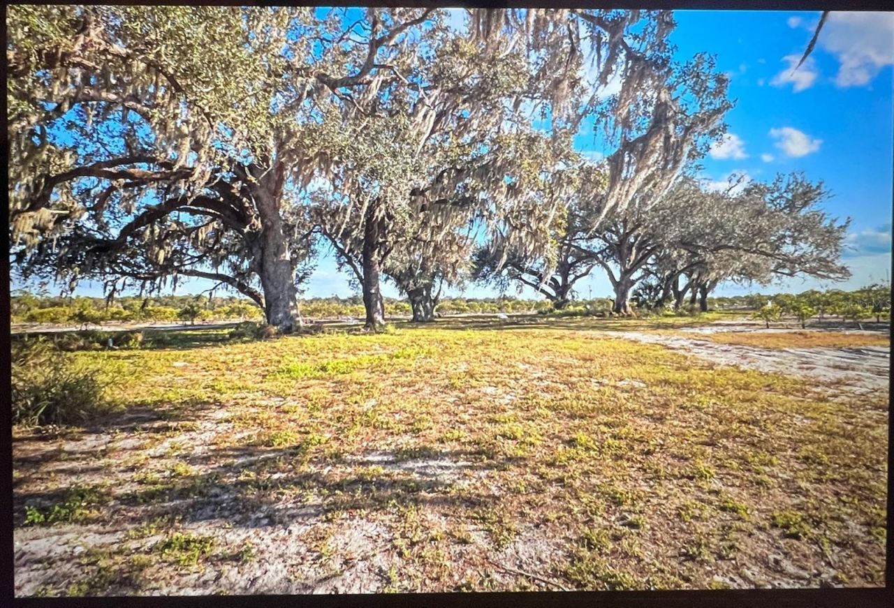 8423 NW Pine Level Street , Arcadia, FL 34266 Photo