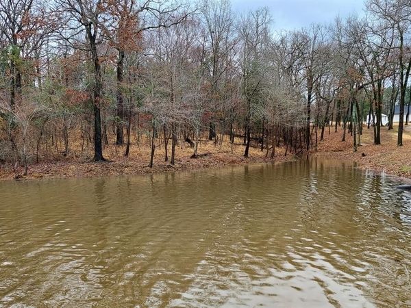 TBD CR 1503, Alba, TX 75410