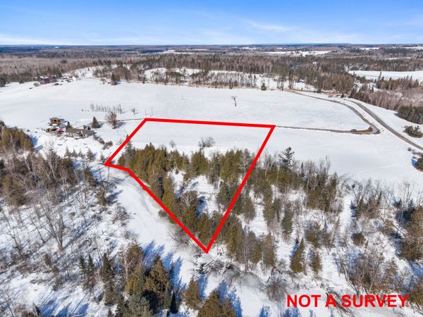 Parcel B W 638 Highway, Onaway, MI 49765