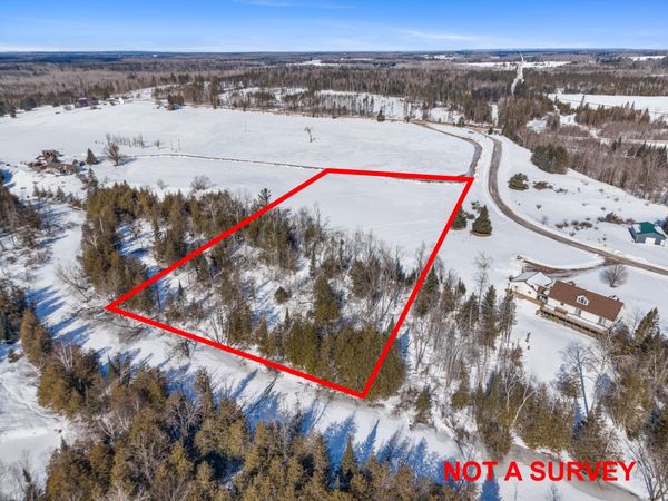 Parcel C W 638 Highway, Onaway, MI 49765