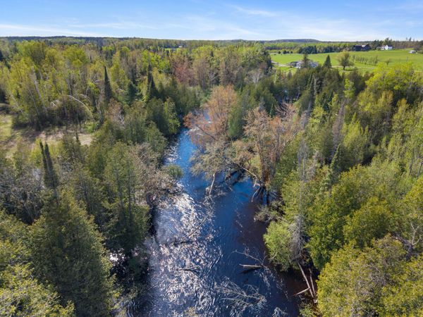 Parcel C W 638 Highway, Onaway, MI 49765