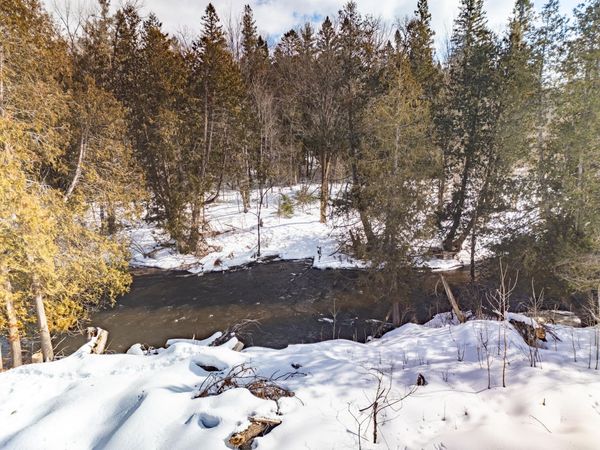 8993 S Straits Highway, Wolverine, MI 49799