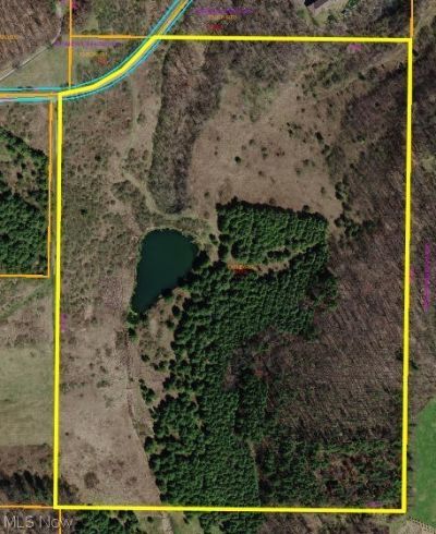 Blacksnake Hill Road, Dover, OH 44622 Main Photo