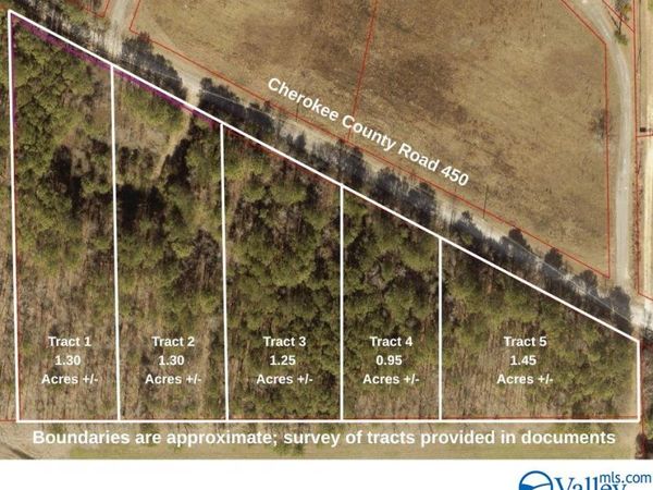 Tract 4 County Road 450, Centre, AL 35960