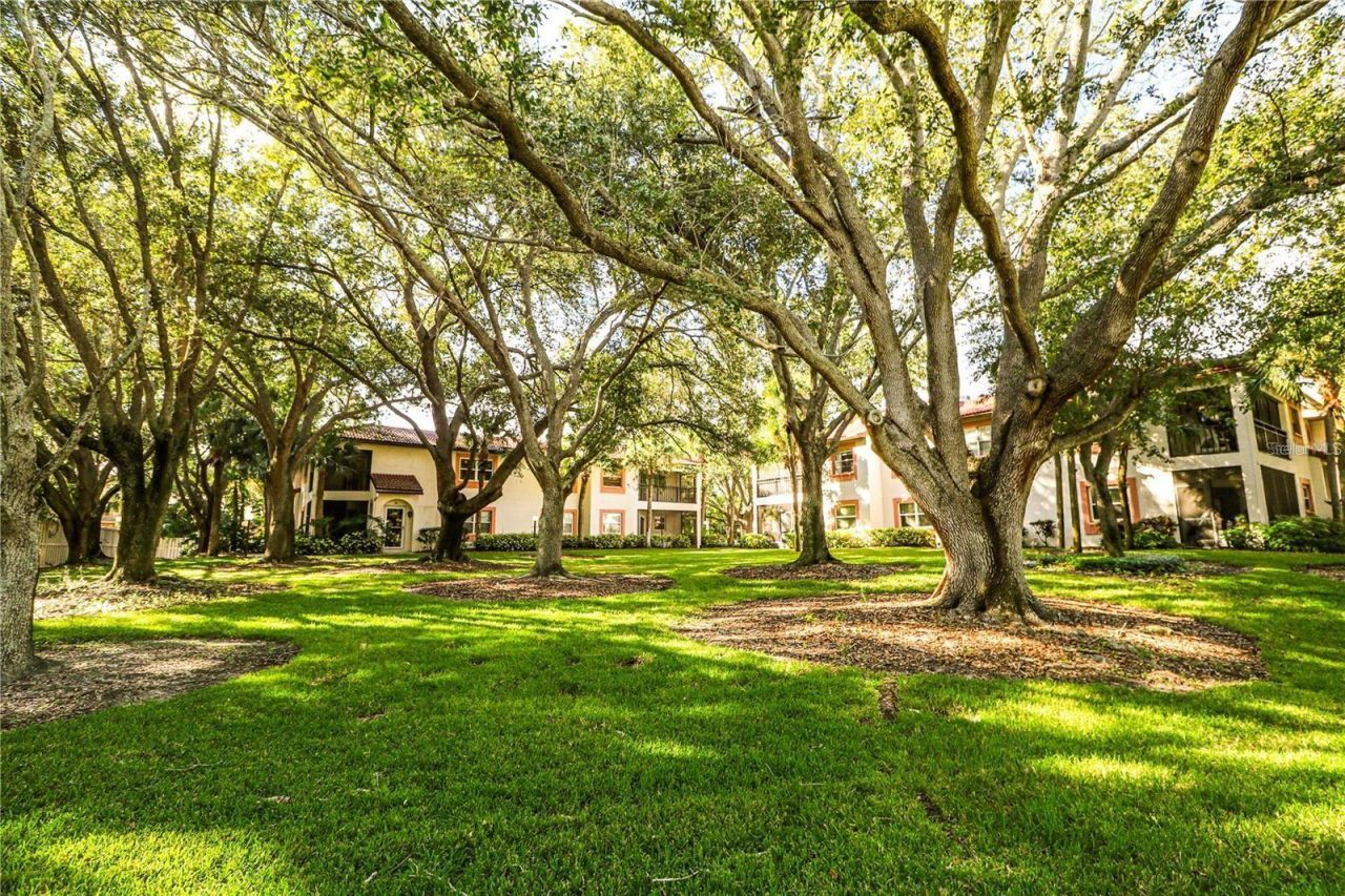 476 Santa Cruz Place Ne, Unit B, Saint Petersburg, FL 33703 Photo