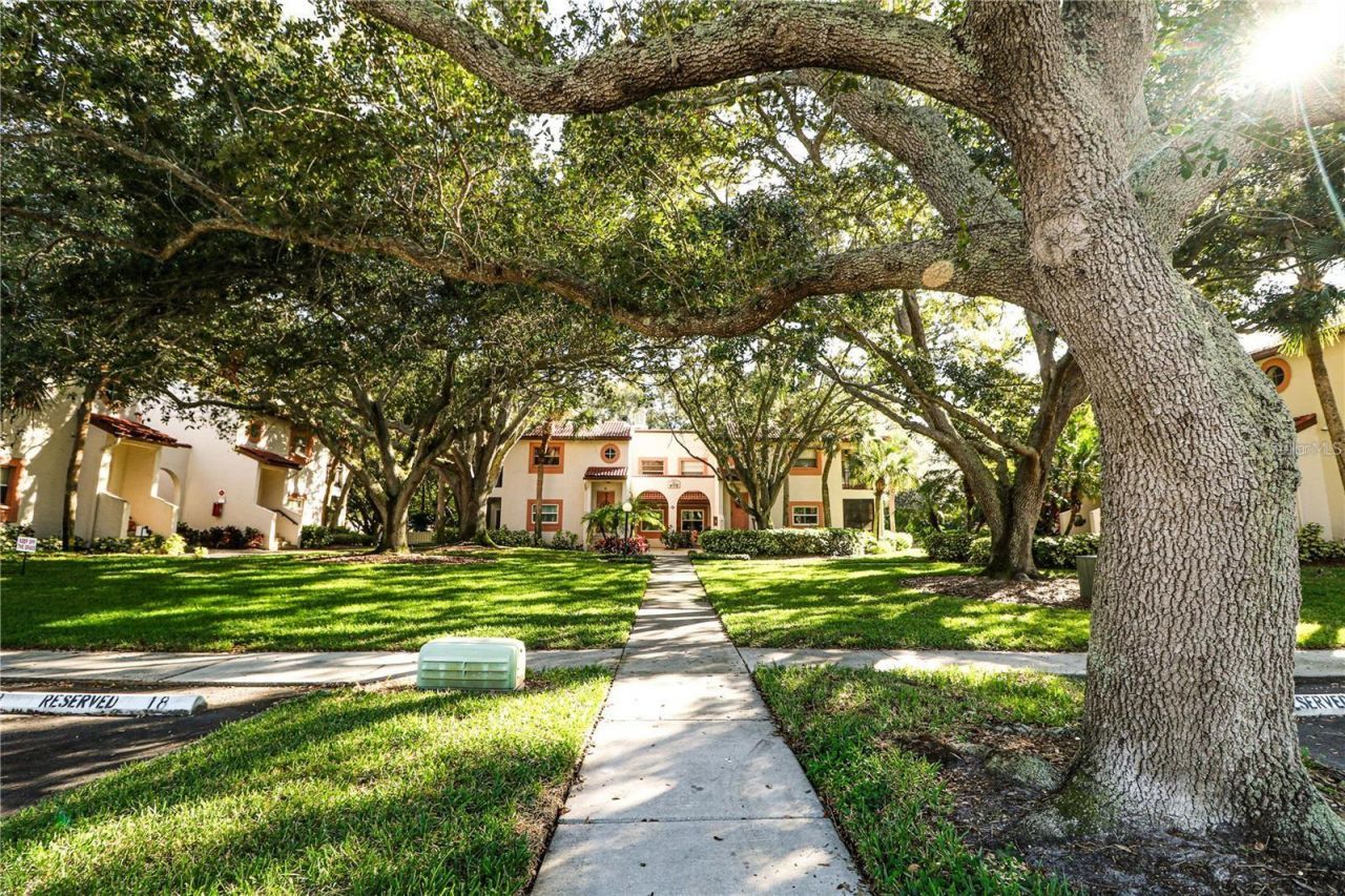 476 Santa Cruz Place Ne, Unit B, Saint Petersburg, FL 33703 Photo