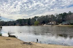 359 Hunters Blind Drive photo 4