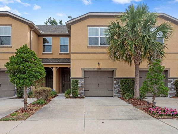 14110 DAMSELFLY DRIVE , TAMPA, FL 33625