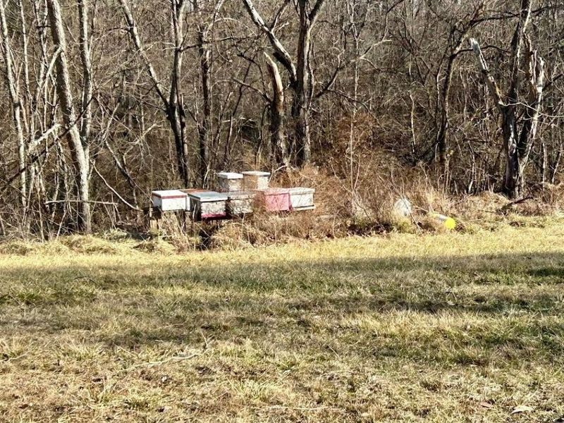 994 & 998 Mcgill Road, Vincent, OH 45784 Photo 13