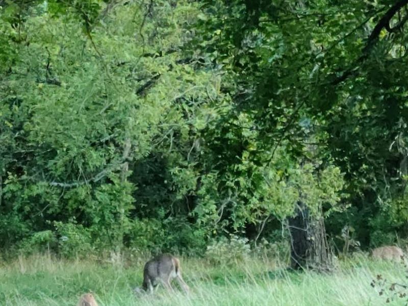 994 & 998 Mcgill Road, Vincent, OH 45784 Photo 30