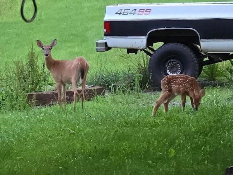 994 & 998 Mcgill Road, Vincent, OH 45784 Photo 32