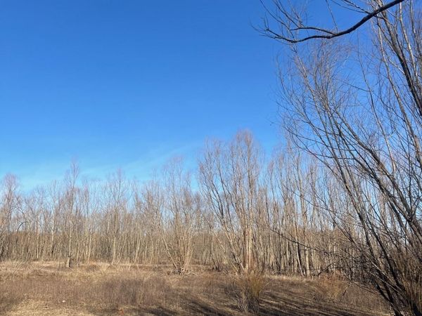 0 E GREENE COUNTY AR 840 RD N, Paragould, AR 72450