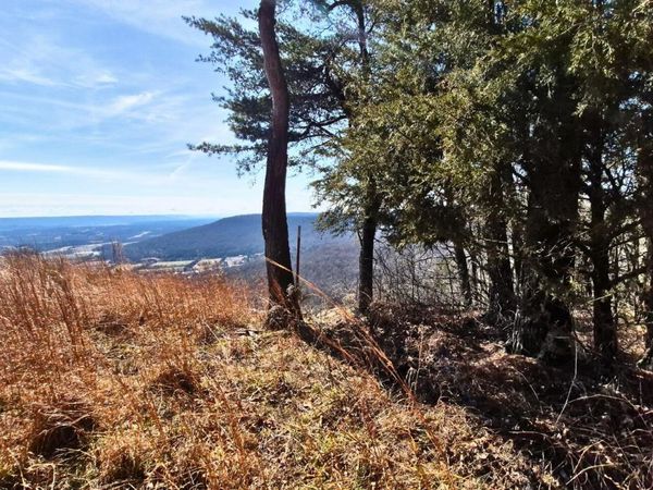 9 Lodge Point Road, South Pittsburg, TN 37380