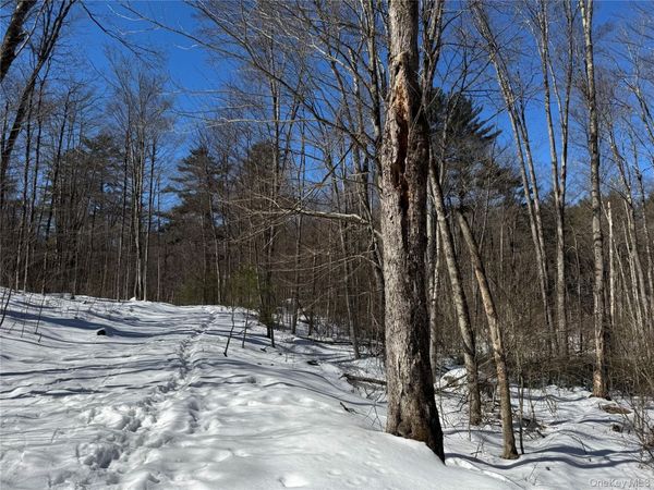 Lot 32 Woodstone Trail , Bethel, NY 12720