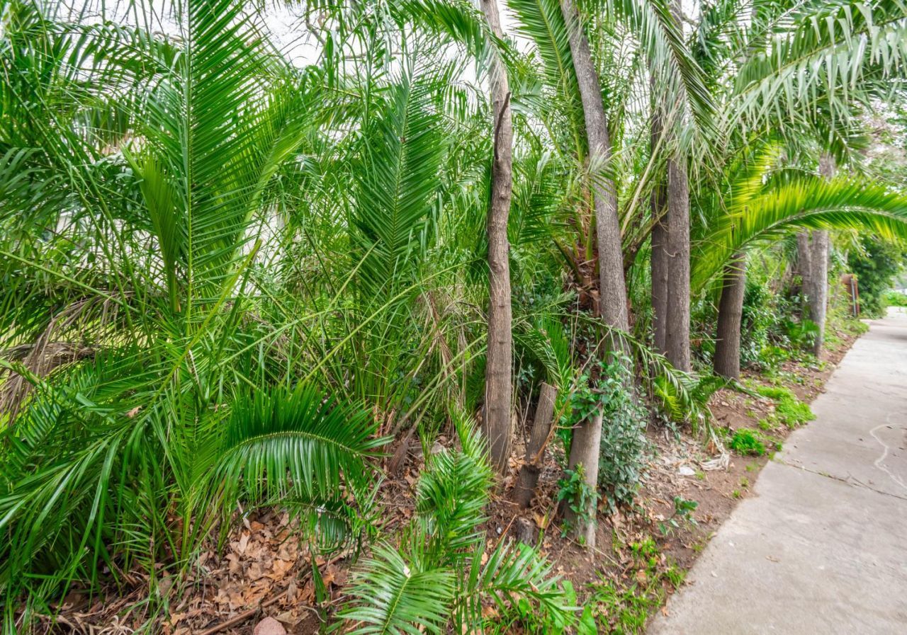 1535 Arcade Blvd, Sacramento, CA 95815 Photo