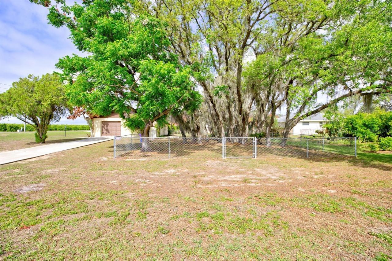 2052 W Stryker Road, Avon Park, FL 33825 Photo